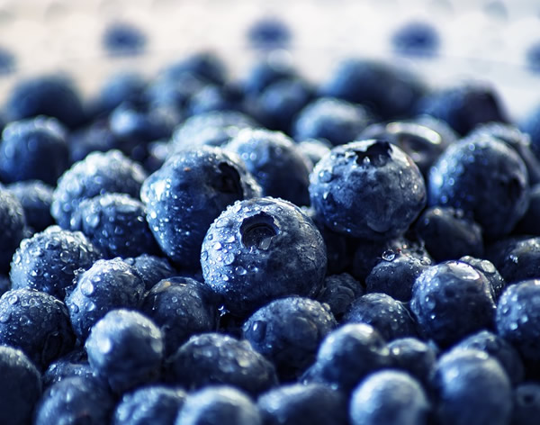 冷凍藍莓，一個被嚴重低估的產品
